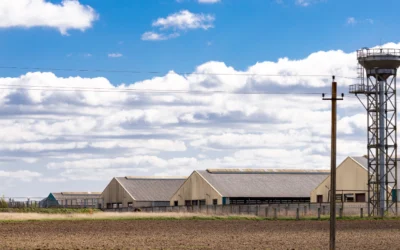 Nave agrícola: tipos, construcción y claves para tu explotación