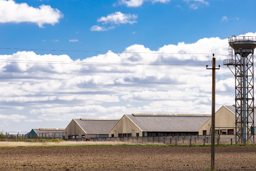 nave agrícola moderna para explotación agrícola