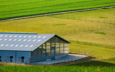 Nave agrícola pequeña: soluciones prácticas para explotaciones agrícolas
