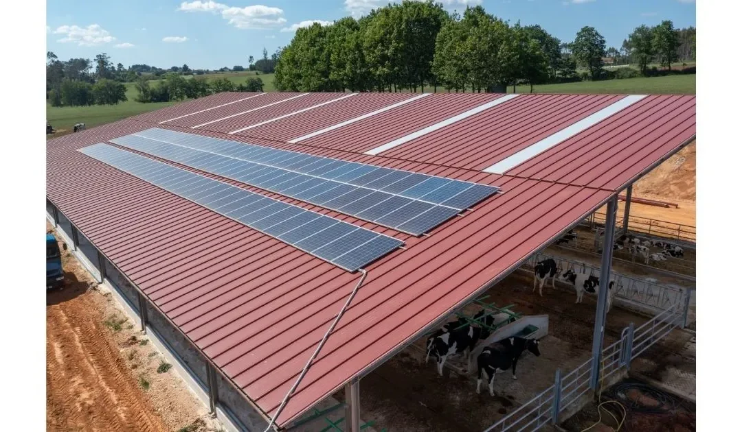 Cómo construir una nave ganadera: guía para planificar tu proyecto