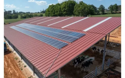 Cómo construir una nave ganadera: guía para planificar tu proyecto