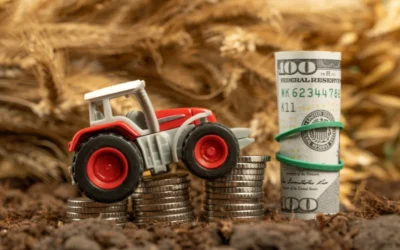 Qué debes tener en cuenta antes de construir una nave agrícola de 200 m²